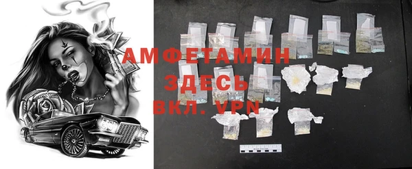 прущие грибы Алзамай