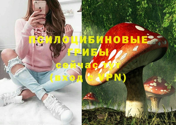 spice Алексеевка