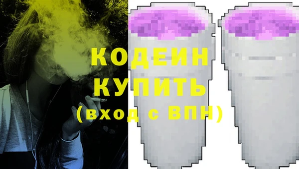 прущие грибы Алзамай