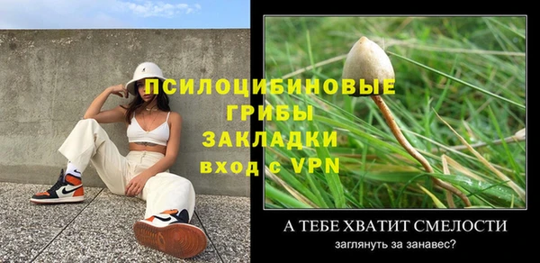 прущие грибы Алзамай