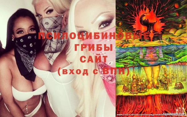 МДМА Алексин