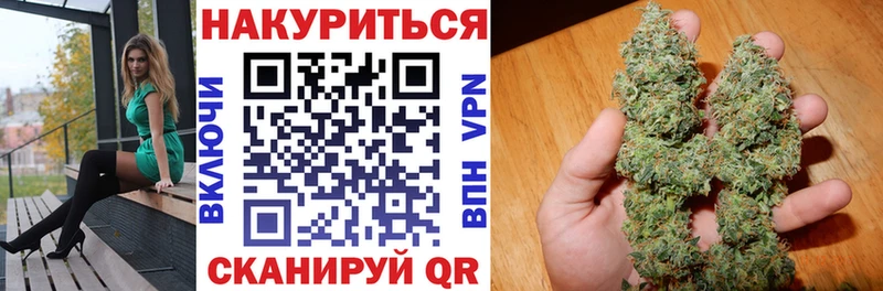 закладка  Кемь  Конопля сатива 